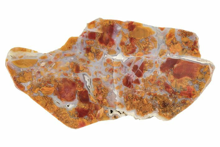 Colorful, Polished Fantasia Jasper Slab - Utah #191876